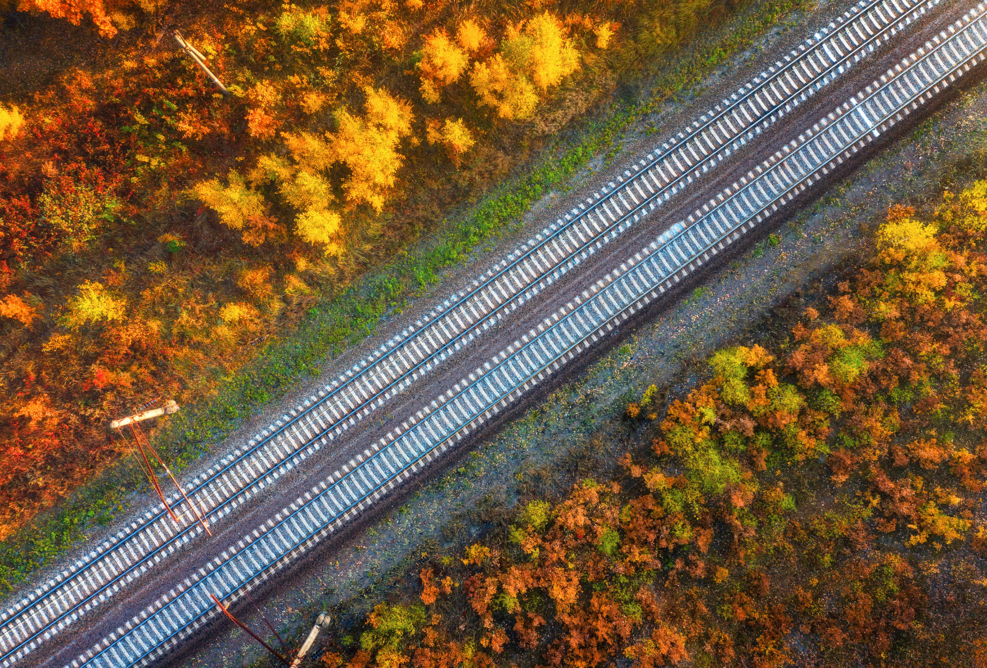 aerial-view-of-railroad-in-beautiful-forest